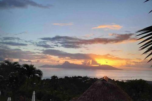Apartamento Suite Tropical Garden Avec Vue Imprenable!!!