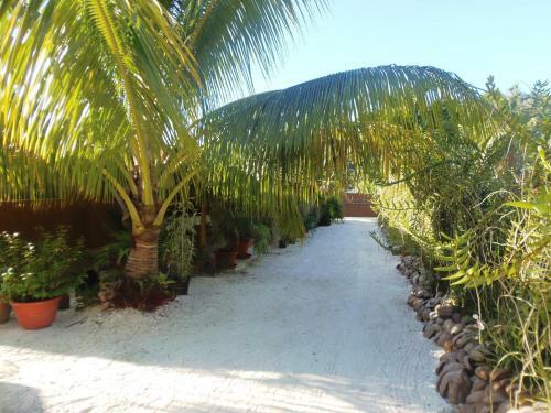 Hostal Pension Fare Ara Huahine