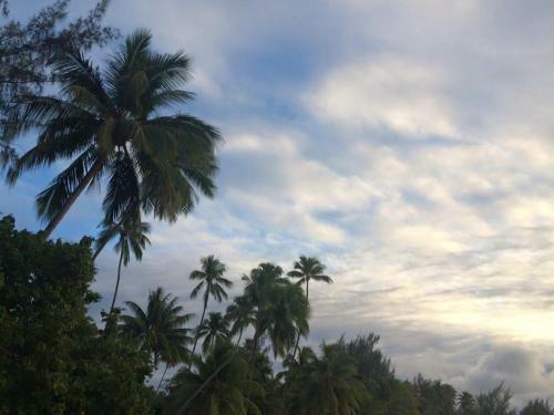 Beach De R�ves De Moorea