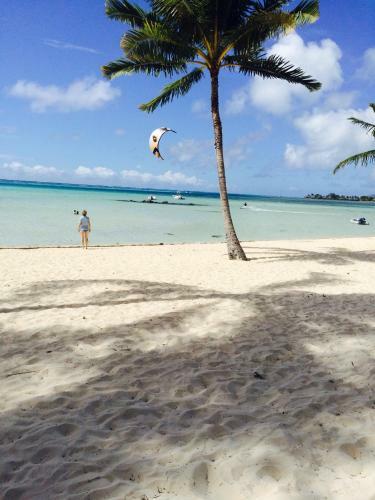 Beach De R�ves De Moorea