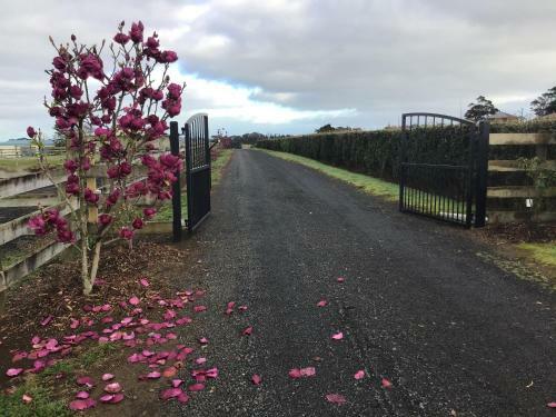 Apartamento Self Contained Cottage Pukekohe