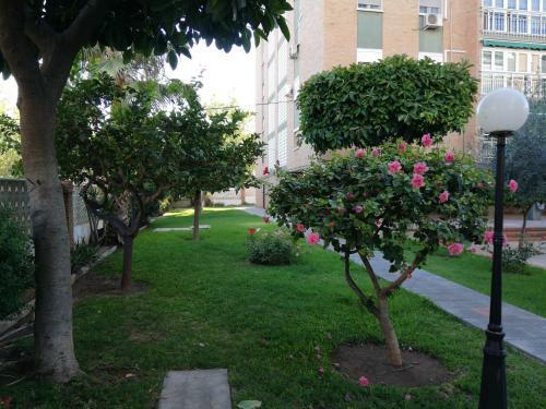 Apartamento Aurora