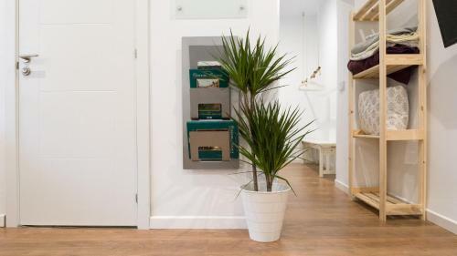 Apartamento Alameda De Colon