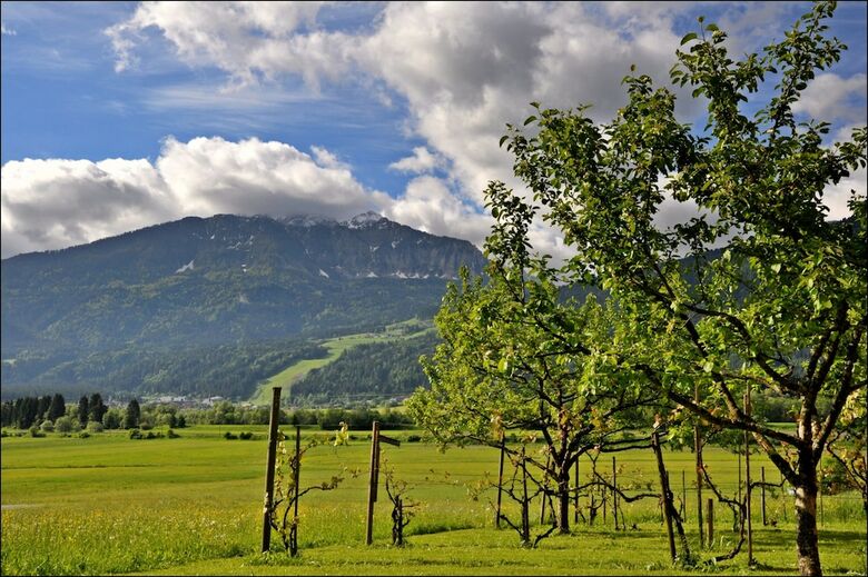 Hostal Enzianbrenner
