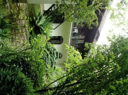 Hotel Gr�nes T�rl