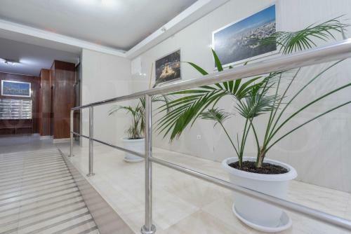 Apartamento Cosy Flat With Private Terrace - Historic Center
