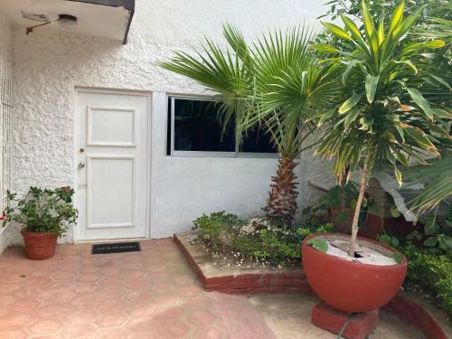 Apartamento Condominio Magallanes