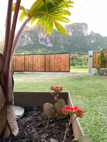 Hostal Lokai House