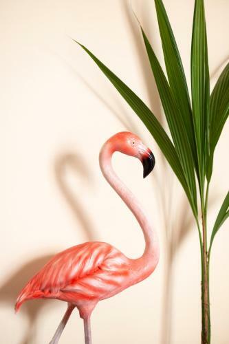 Flamingo Apartment