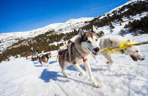 Apartamento Orquidea Ski & Mountain