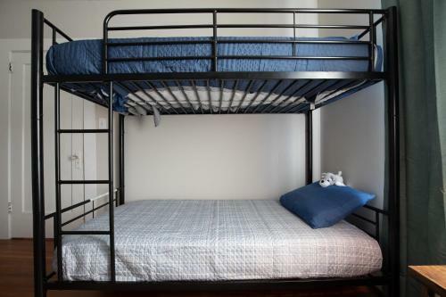 Redmont Revival-walkable-pets-uab