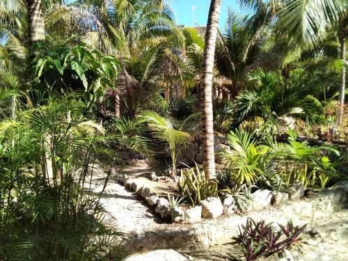 Agroturismo Villas Tortugas Akumal