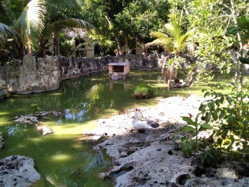 Agroturismo Villas Tortugas Akumal