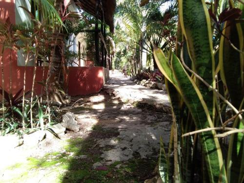 Agroturismo Villas Tortugas Akumal