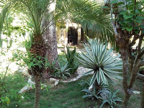 Agroturismo Villas Tortugas Akumal