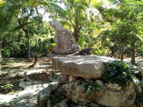 Agroturismo Villas Tortugas Akumal