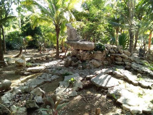 Agroturismo Villas Tortugas Akumal