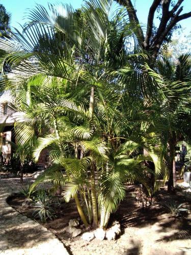 Agroturismo Villas Tortugas Akumal