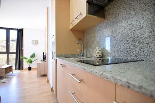 Apartamento Lux Isard "acceso Directo A Pistas"