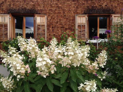 Apartamento Haus Katharina (Holiday Appartement)