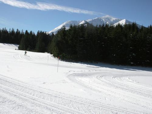 Apartamento Feriendorf Chalet Type C