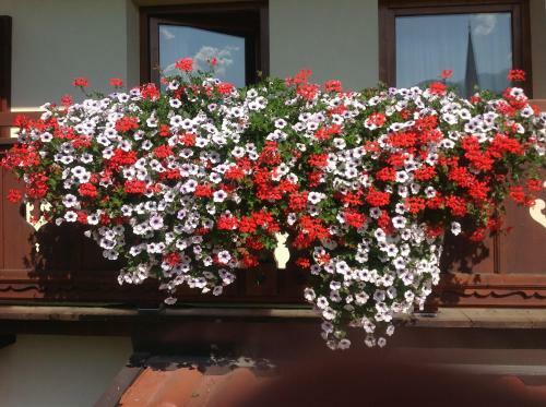 Apartamento Ferienappartements Meixner