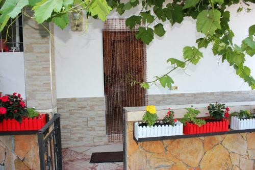 Apartamento Guesthouse Kurti