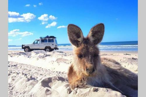 Apartamento Crystal Waters-2 Bed, 2 Bathroom, Beachfront Unit!