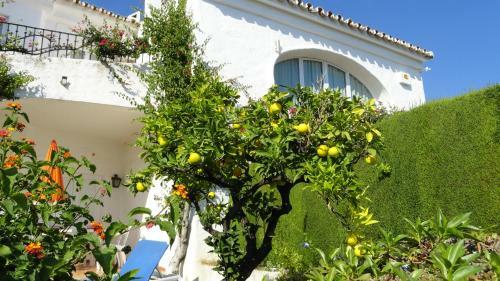 Casa Ranita