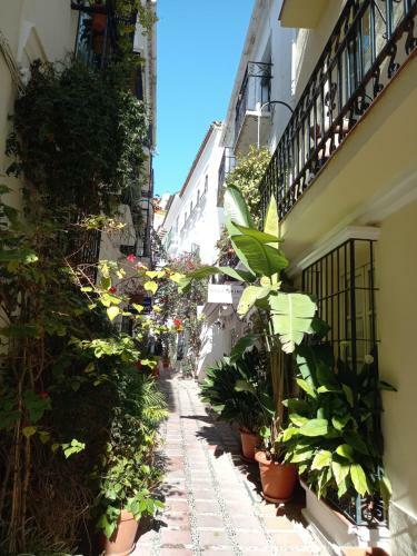 Apartamento Precioso Y Acogedor �tico Old Town
