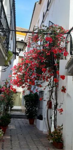 Apartamento Precioso Y Acogedor �tico Old Town