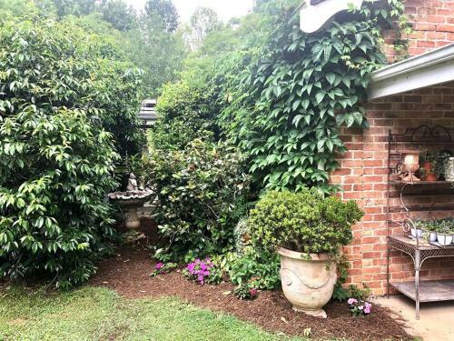 Apartamento Blossom In Bonville
