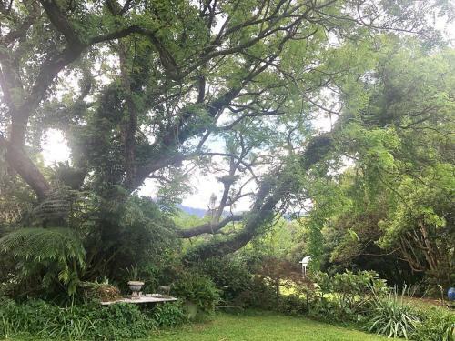 Apartamento Blossom In Bonville