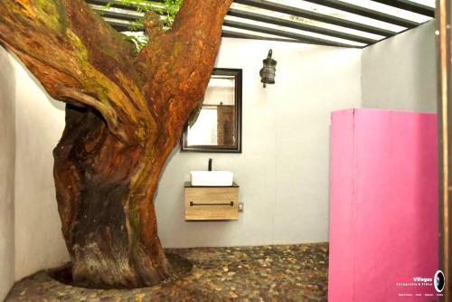 Hotel Casa de Las Luci�rnagas