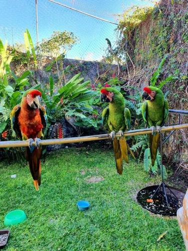 Casa En Renta En Morelos