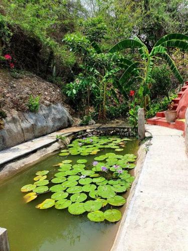 Casa En Renta En Morelos