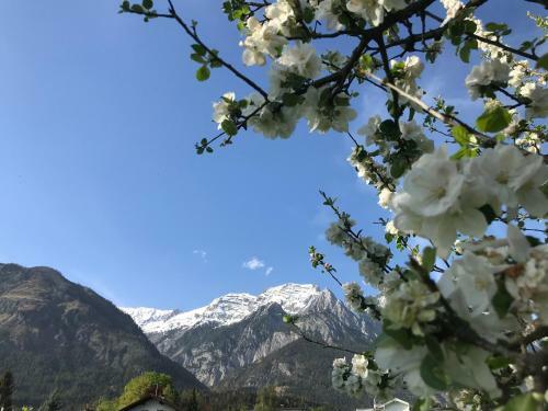 Apartamento Schusterbrand