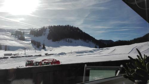 Apartamento Postalm Appartement Labenberg