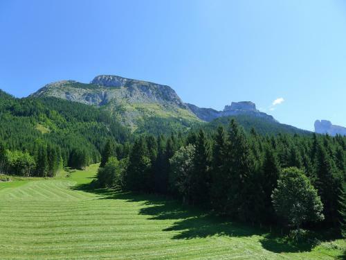 Apartamento Alpenhaus Dachstein.zauber