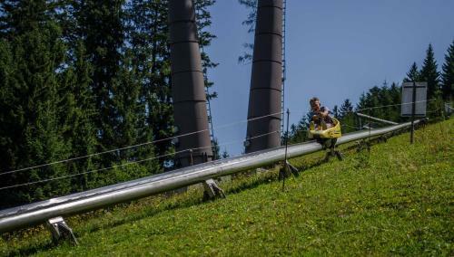 Apartamento Alpenhaus Dachstein.zauber