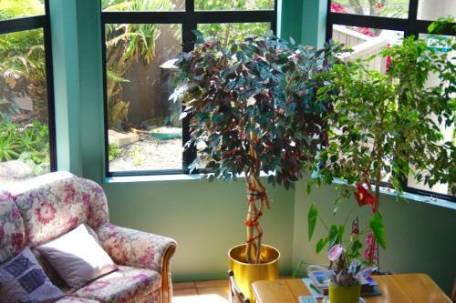 Hamilton East Homestay