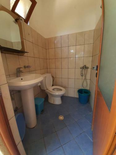 Hostal Jungle House