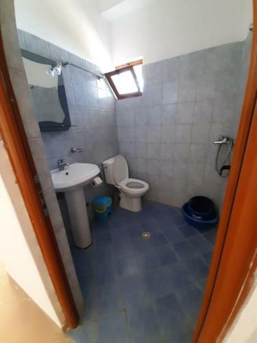 Hostal Jungle House