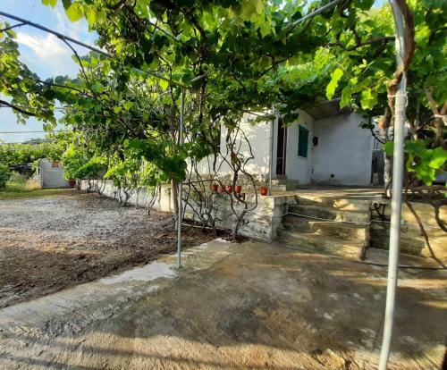 Hostal Jungle House