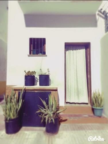 Apartments In Old Town