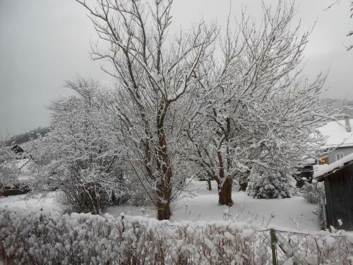 Hostal Pension Gierlinger