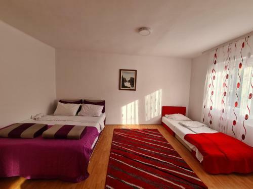 Apartman Iva