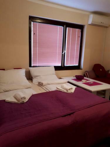 Apartman Iva
