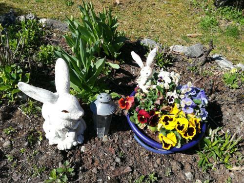Bed & Breakfast M�hlnerhof Familie Gruber