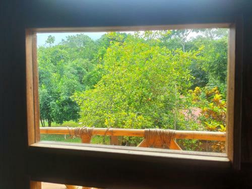 Lodge Hagia Sofia, Living In Botanical Garden